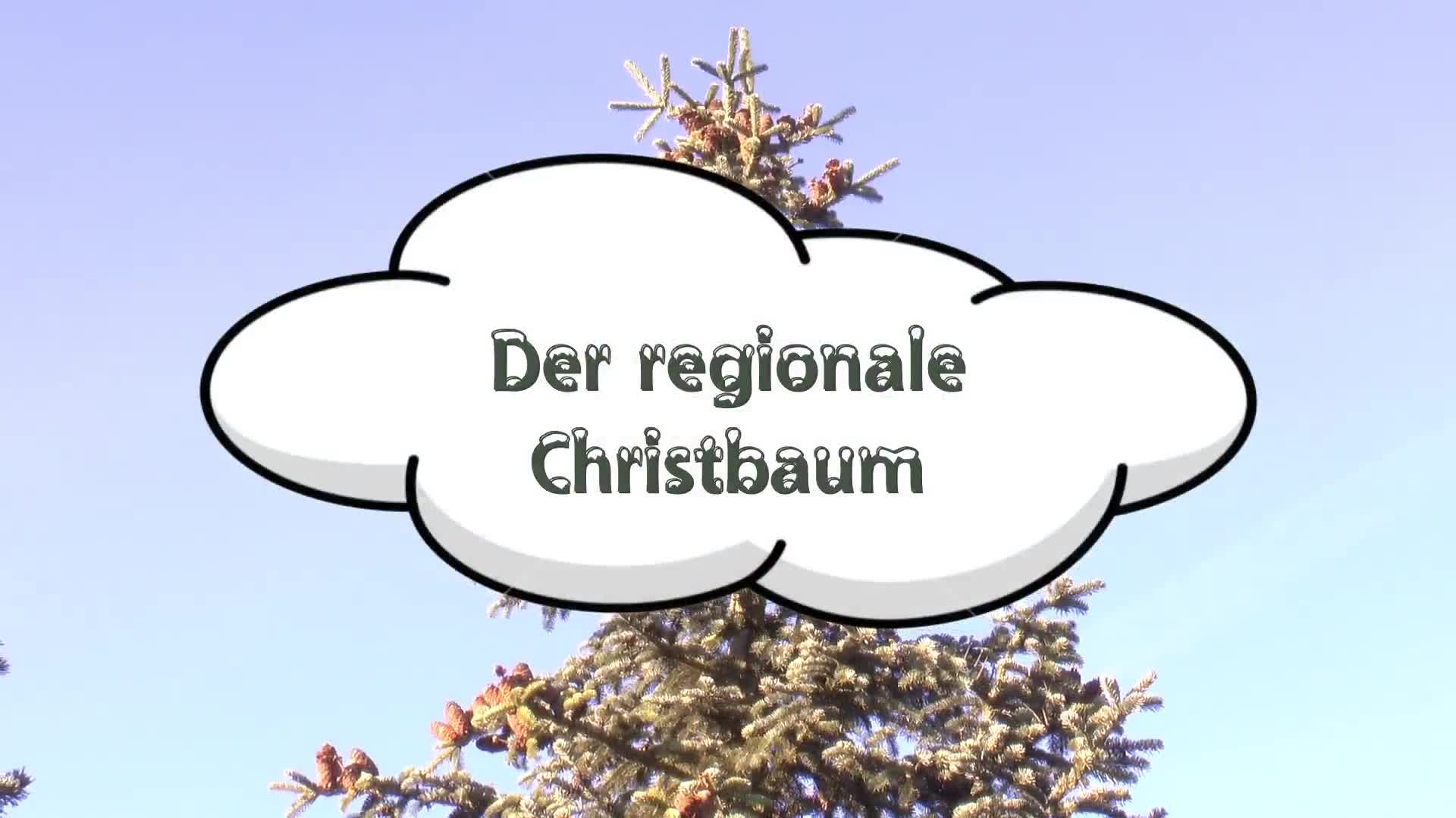 Der regionale Christbaum