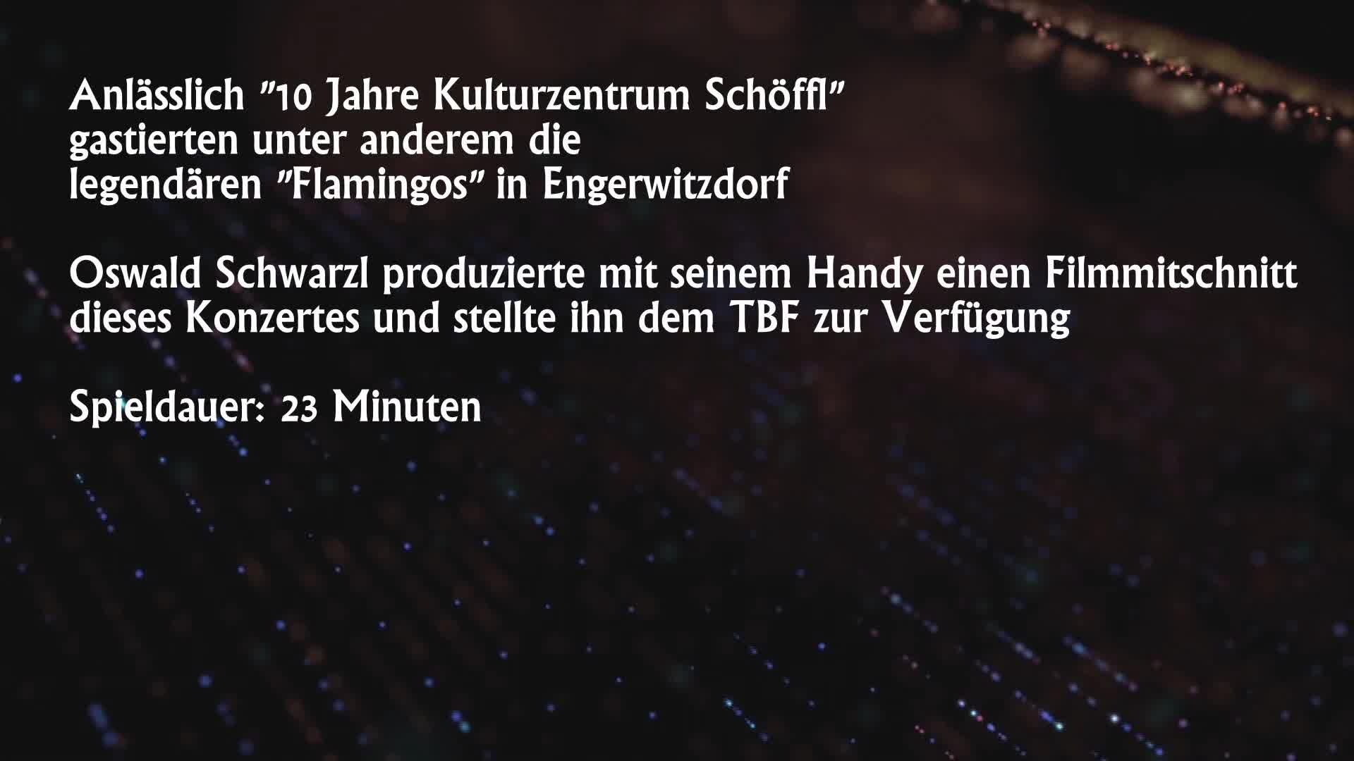 Die Flamingos im Schöffl