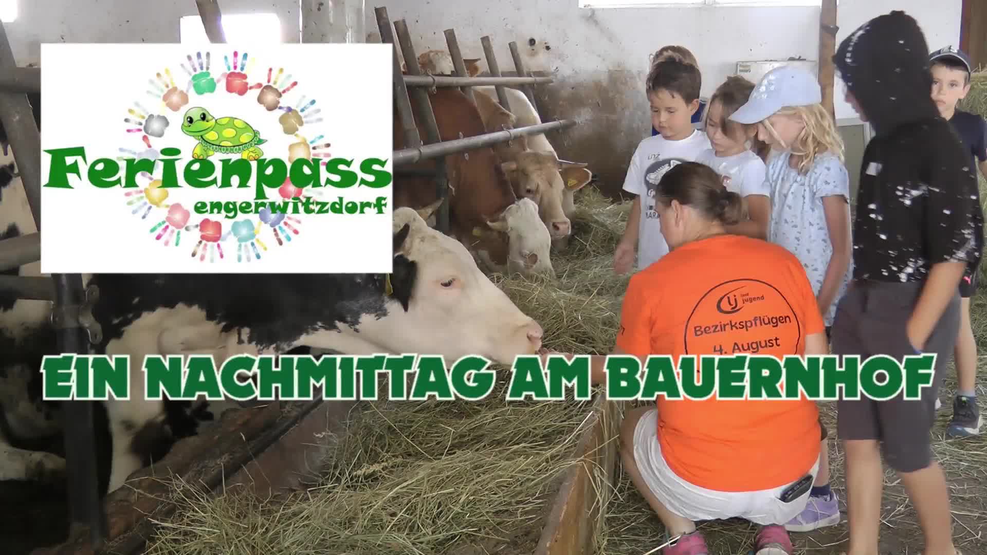 Ein Nachmittag am Bauernhof