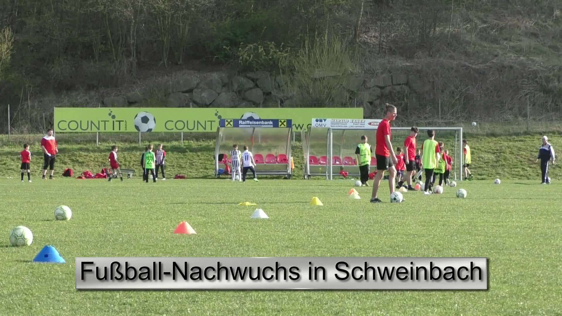 Fußball-Nachwuchs in Schweinbach