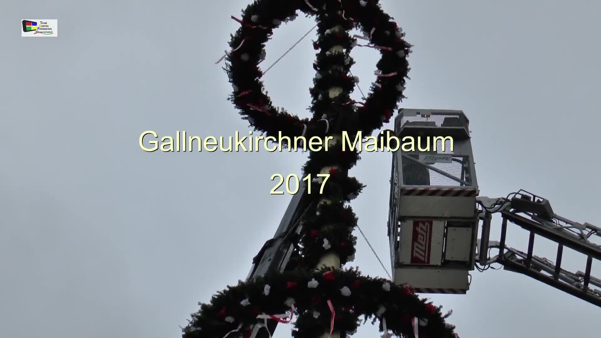 Gallneukirchner Maibaum 2017