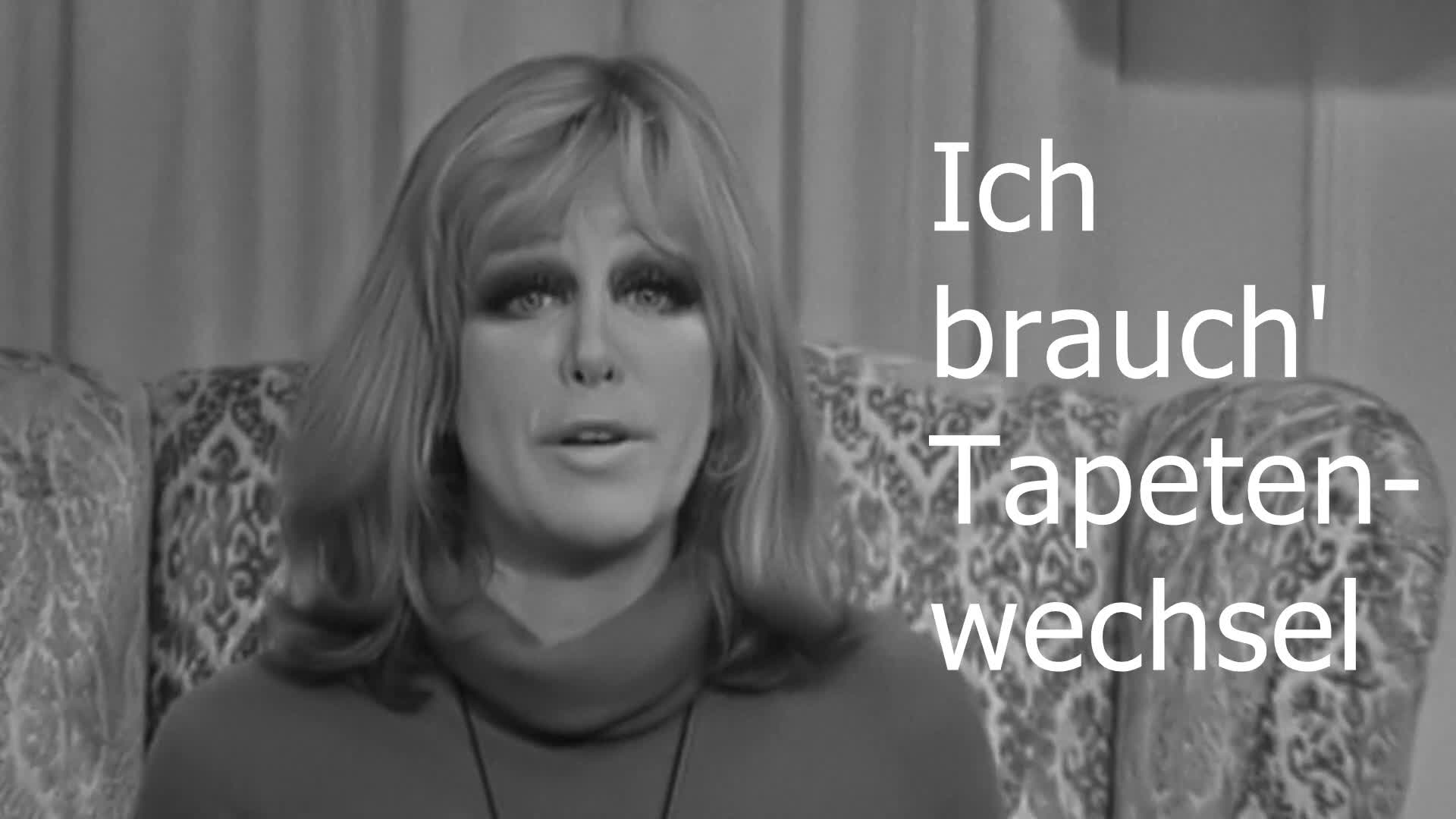 Ich brauch Tapetenwechsel - Helene Pointner