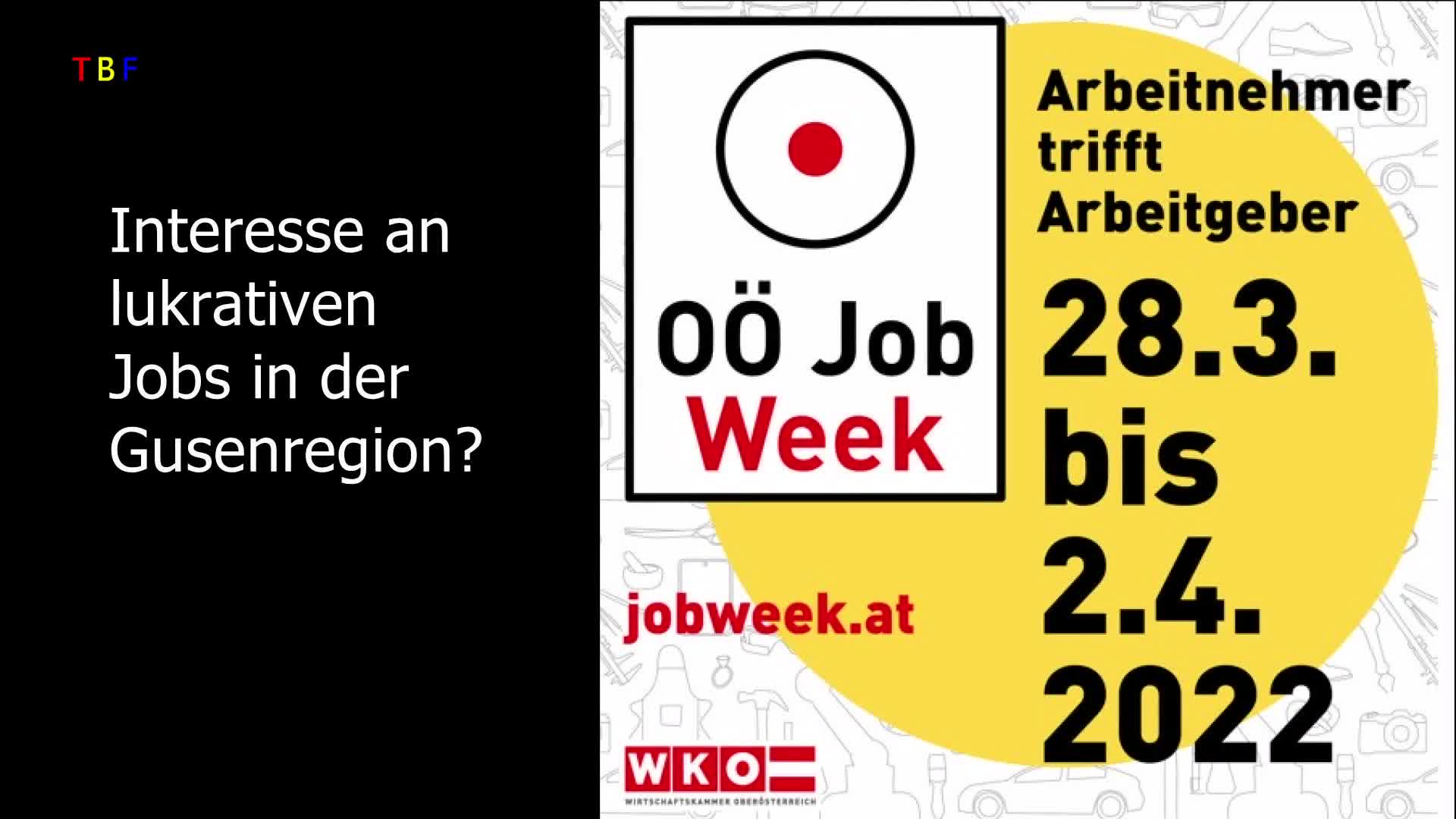 Oberösterreichische Job Week