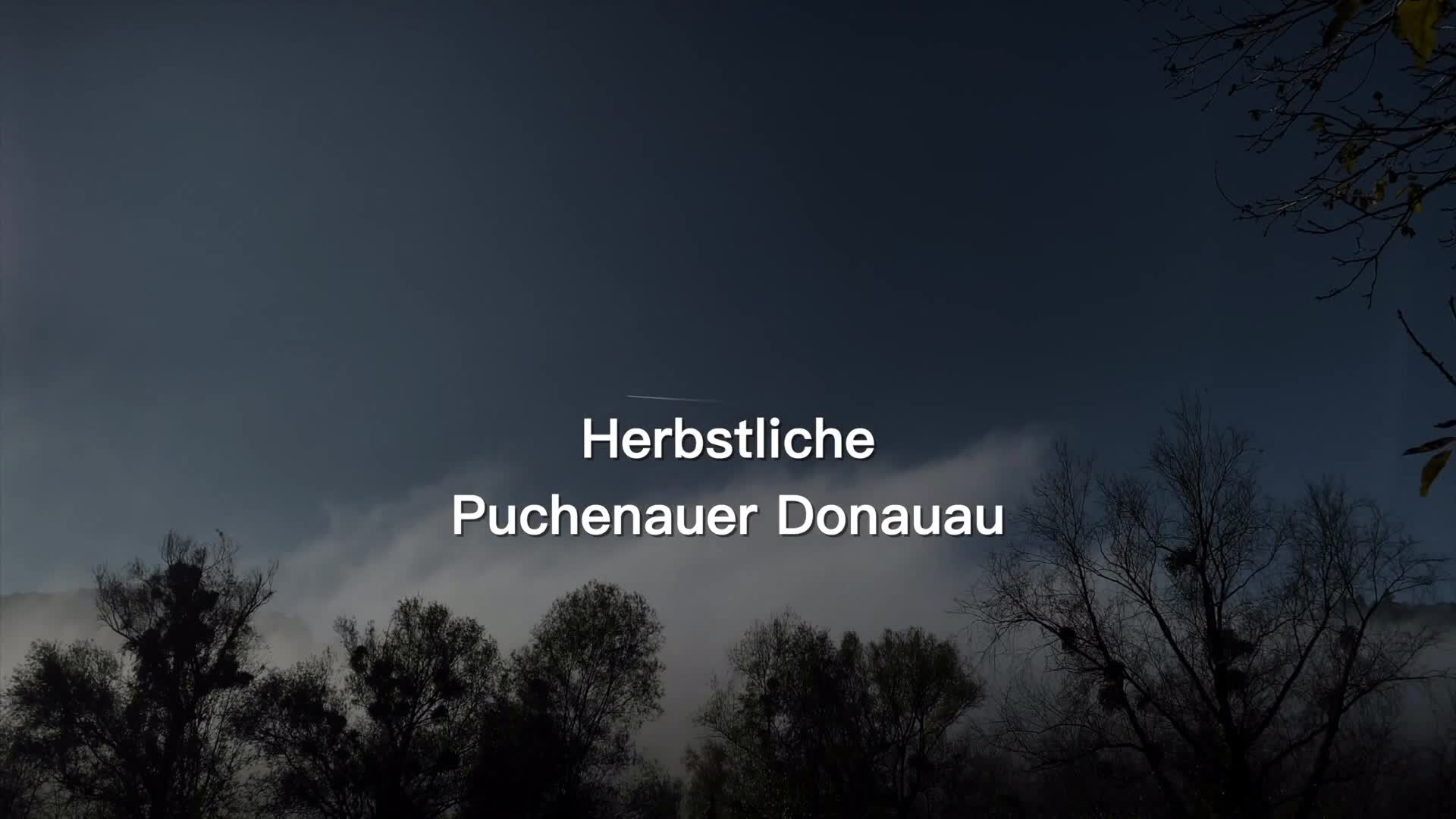 Herbstliche Puchenauer Donauau