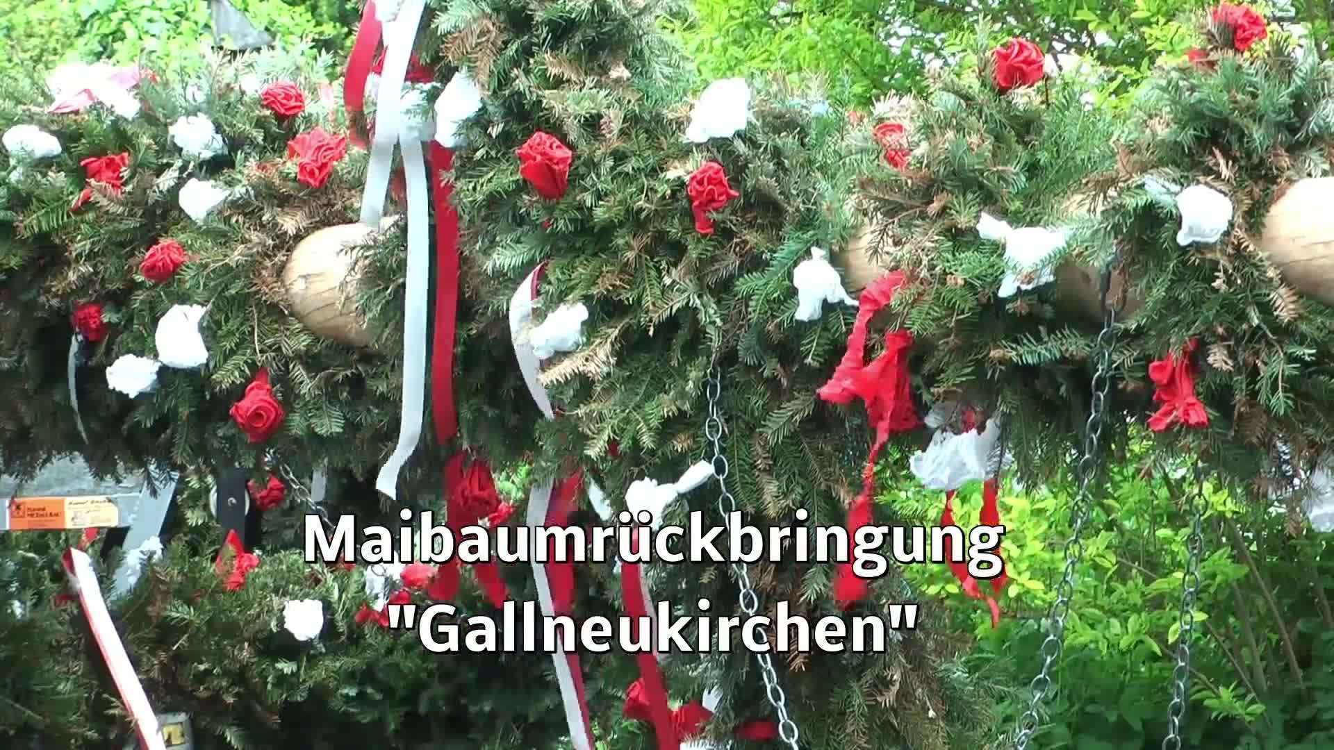 Maibaum-Rückbringung nach Gallneukirchen