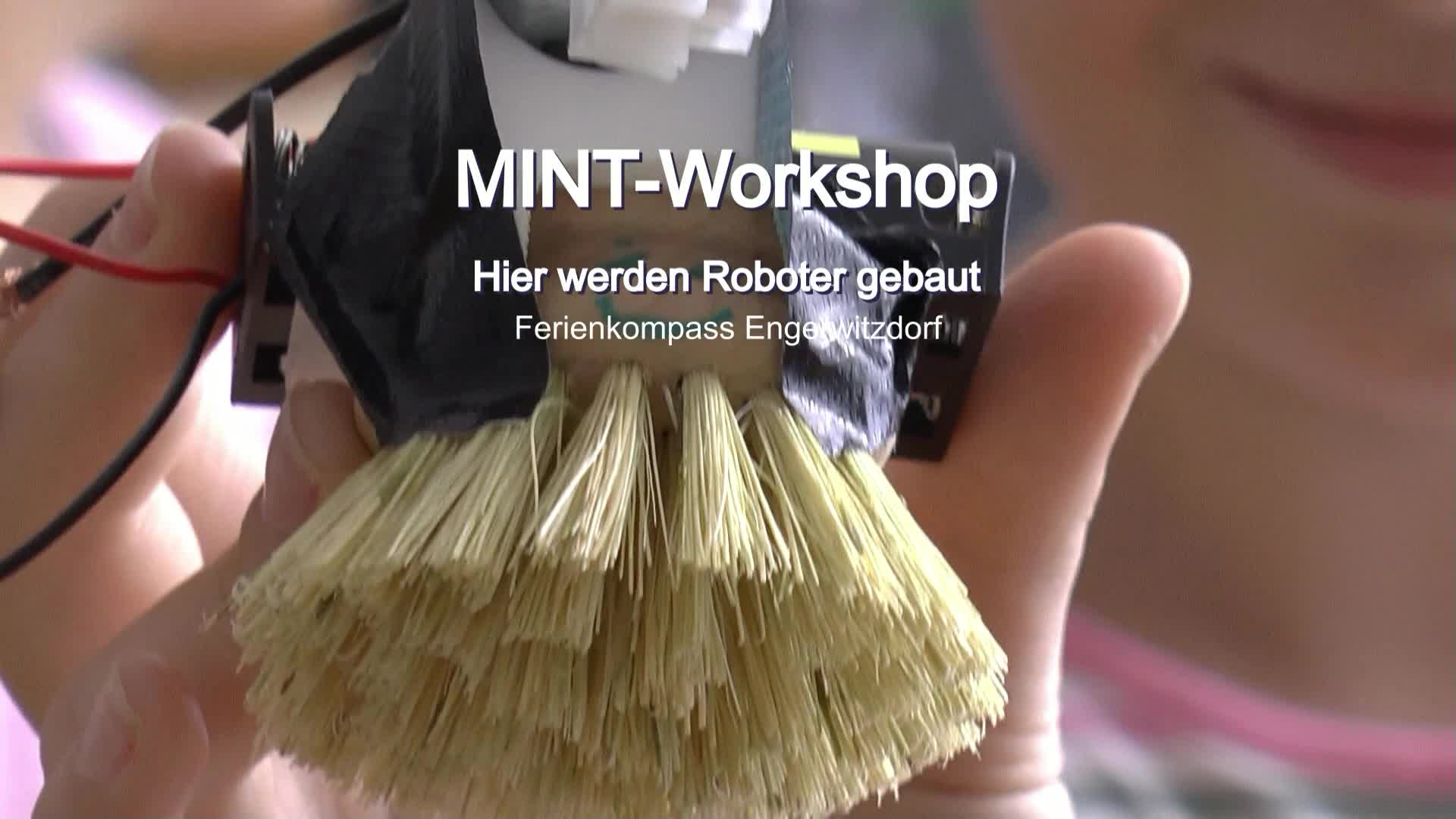 MINT-Workshop