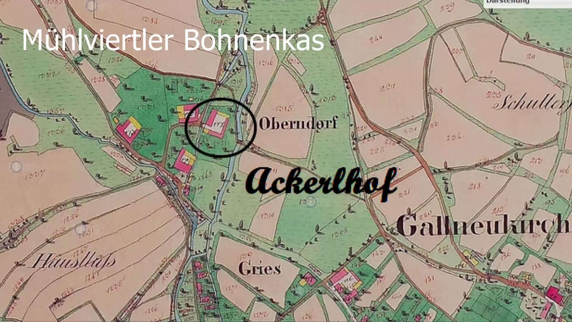 Mühlviertler Bohnenkas