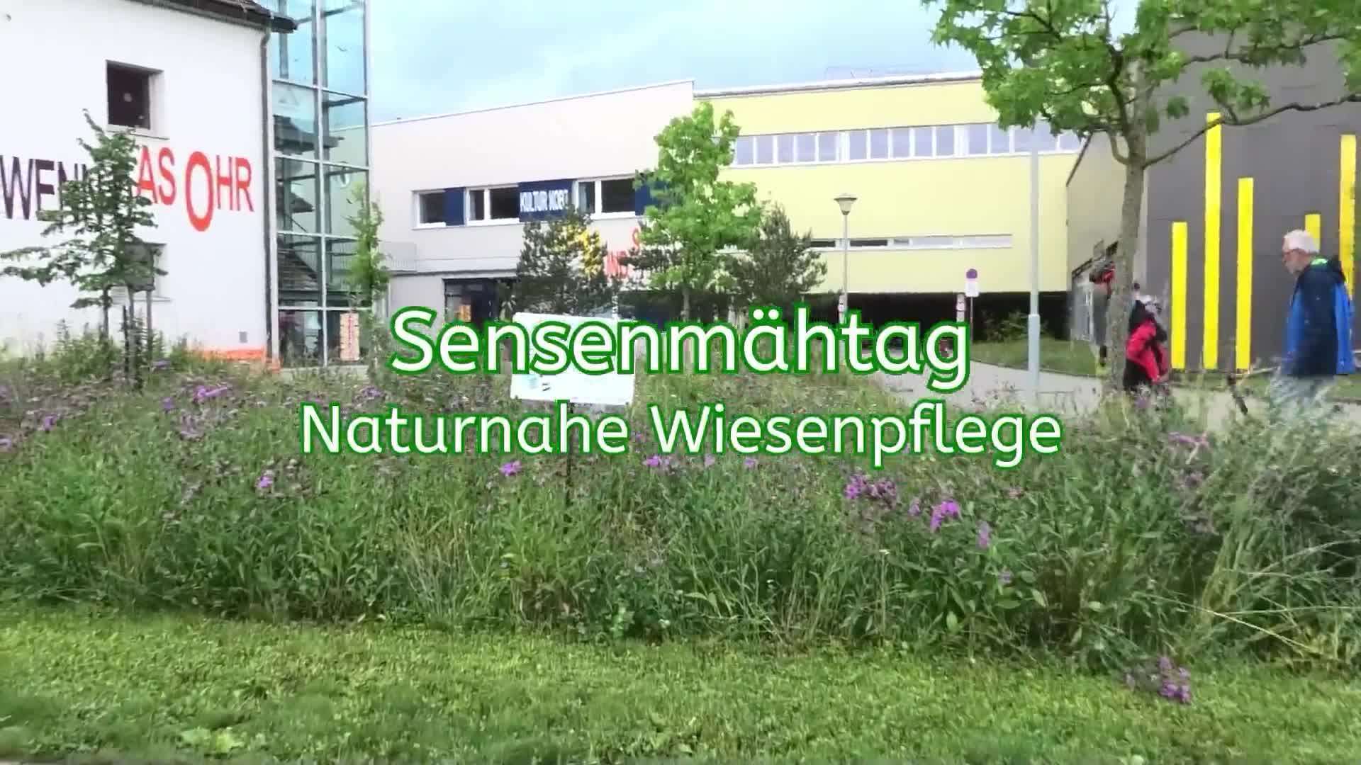 Sensenmähtag - Naturnahe Wiesenpflege