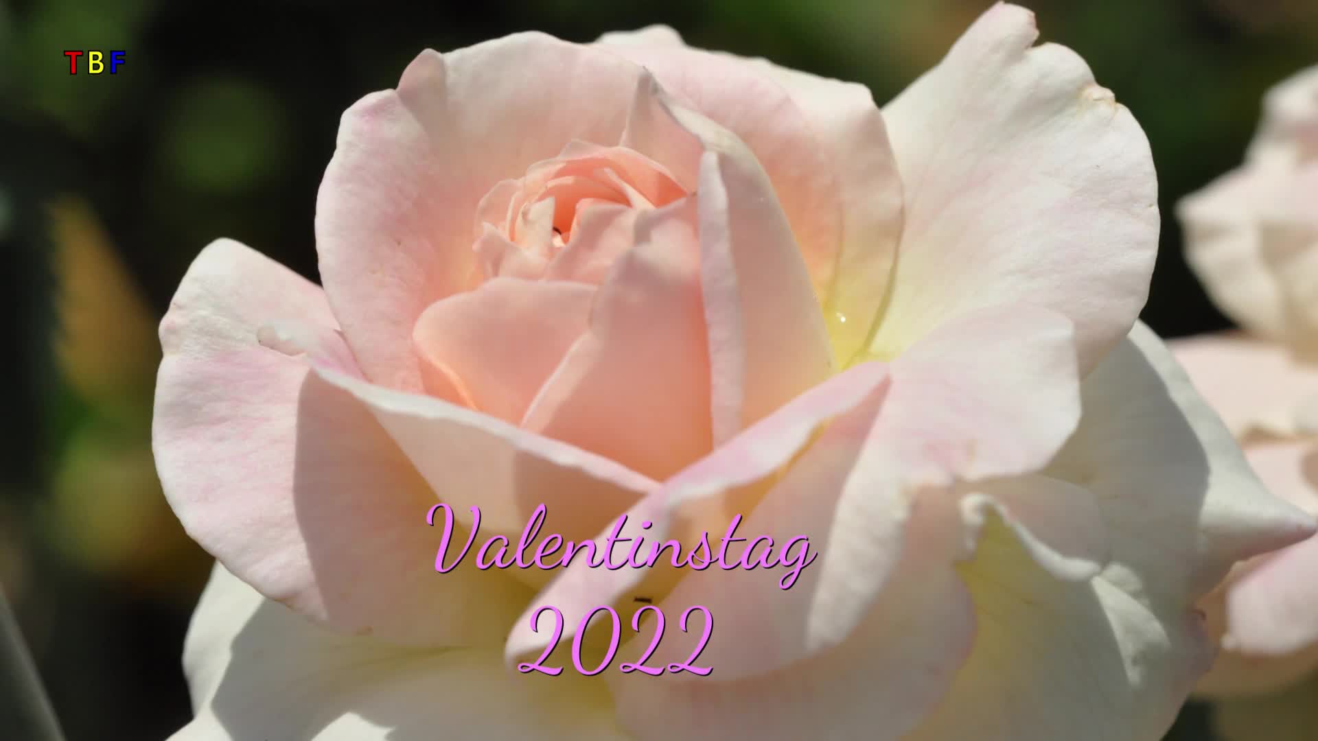 Valentinstag 2022