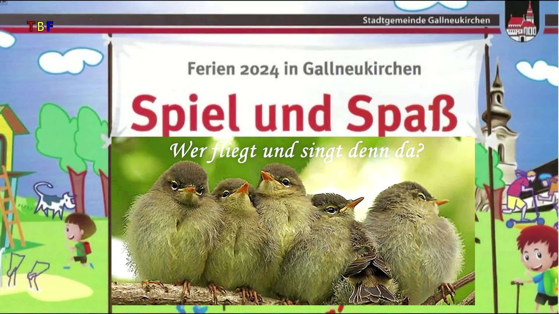 Wer fliegt und singt denn da?
